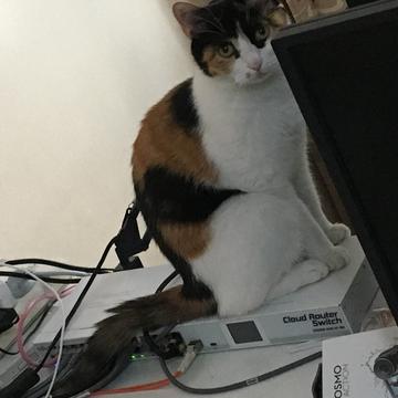 karminski牙医于2019-10-14 10:38发布的图片