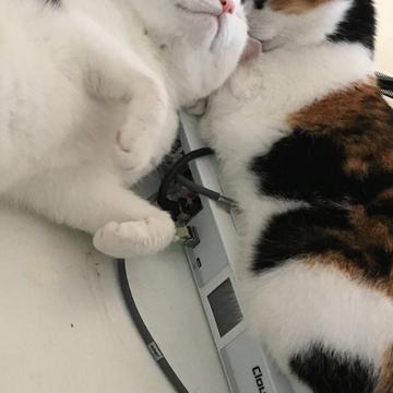 karminski牙医于2019-10-14 10:38发布的图片