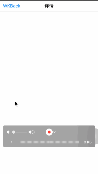 QiWKWebView2.gif