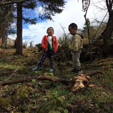 昕昕燃燃于2019-10-14 17:30发布的图片