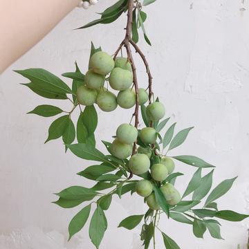 竹芒科技于2019-10-15 10:16发布的图片