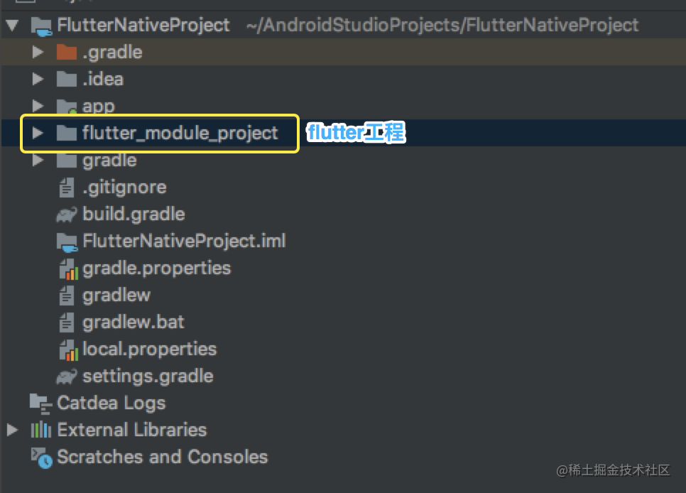 Android Native 工程集成 Flutter 的两种方式