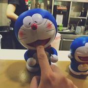 彪悍大蓝猫的个人资料头像