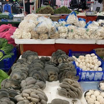 元气满满哒于2019-10-15 16:10发布的图片