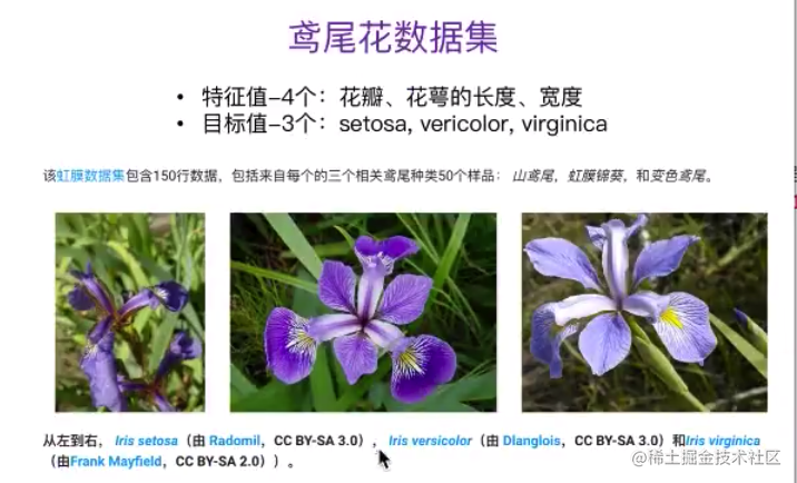 为了更好的理解数据集,这里我们用鸢尾花这个 sklearn 上最经典的入门