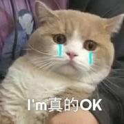 MengYiH的个人资料头像