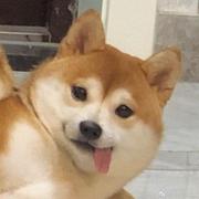 aye1307的个人资料头像