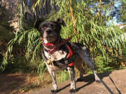 yangyi89585的个人资料头像