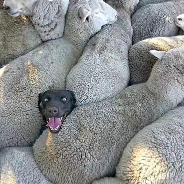 刘什么磊于2019-10-17 19:39发布的图片