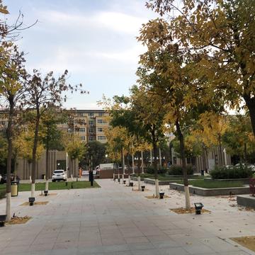 张翠山于2019-10-17 21:43发布的图片