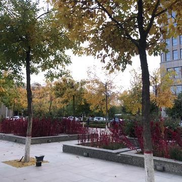 张翠山于2019-10-17 21:43发布的图片