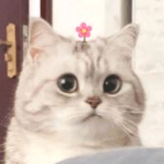 我会飞biubiubiu于2019-10-18 11:20发布的图片