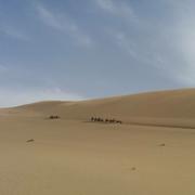 RangerZhou的个人资料头像