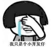 落魄前端开发仔的个人资料头像