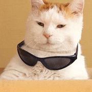 Ethan_Zhang的个人资料头像