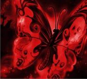 schurmi的个人资料头像