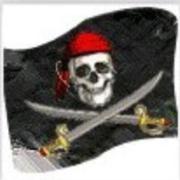 闪电天皇的个人资料头像