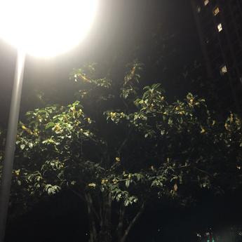已注销于2019-10-19 22:06发布的图片