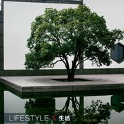 小马过河007的个人资料头像