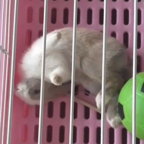 喵喵道人于2019-10-02 21:09发布的图片