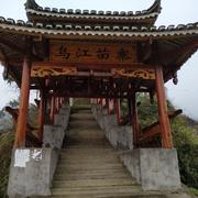 小学生jjin的个人资料头像