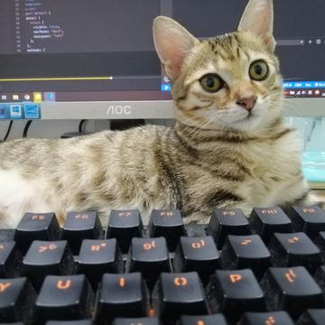 张兮兮于2019-10-20 19:23发布的图片