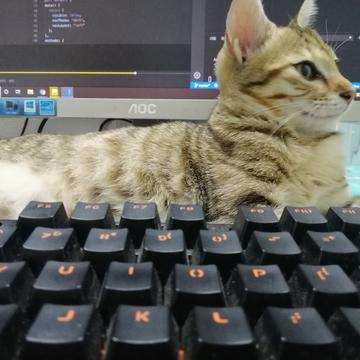 张兮兮于2019-10-20 19:23发布的图片