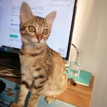 张兮兮于2019-10-20 19:23发布的图片