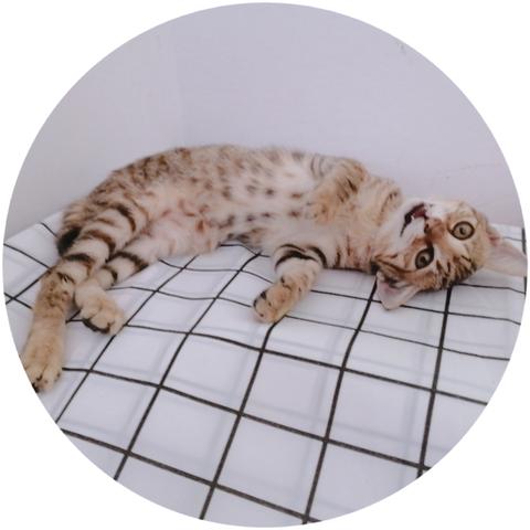 张兮兮于2019-10-20 19:23发布的图片