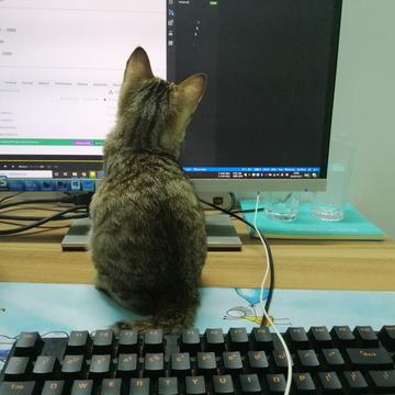 张兮兮于2019-10-20 19:23发布的图片