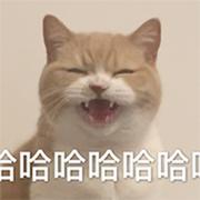 tobbyvic的个人资料头像