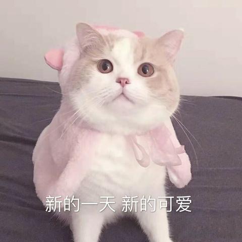 星空海绵于2019-10-21 01:55发布的图片