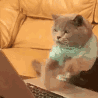 HelloGitHub于2019-10-21 09:08发布的图片