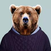 programBoy的个人资料头像