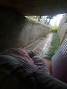 sfuo的个人资料头像