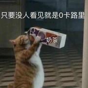 楚寒的个人资料头像