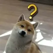 惊不惊喜