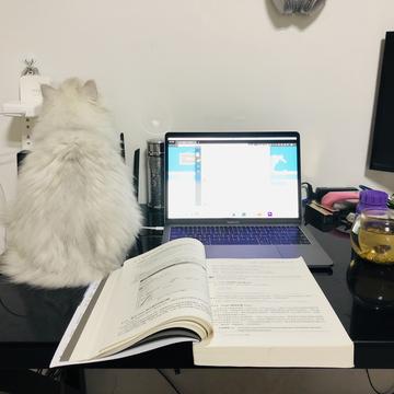 Monkeybro于2019-10-22 13:05发布的图片