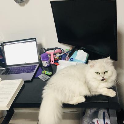 Monkeybro于2019-10-22 13:05发布的图片