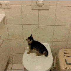 屎山代码于2019-10-22 20:25发布的图片