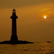 ass_kicker的个人资料头像