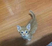 zhanzhan的个人资料头像