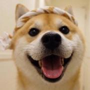 一个人的精彩Van的个人资料头像