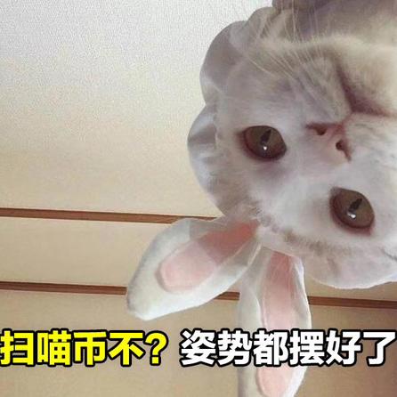 合木于2019-10-26 00:33发布的图片