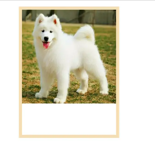 长宽有一个铺满即可