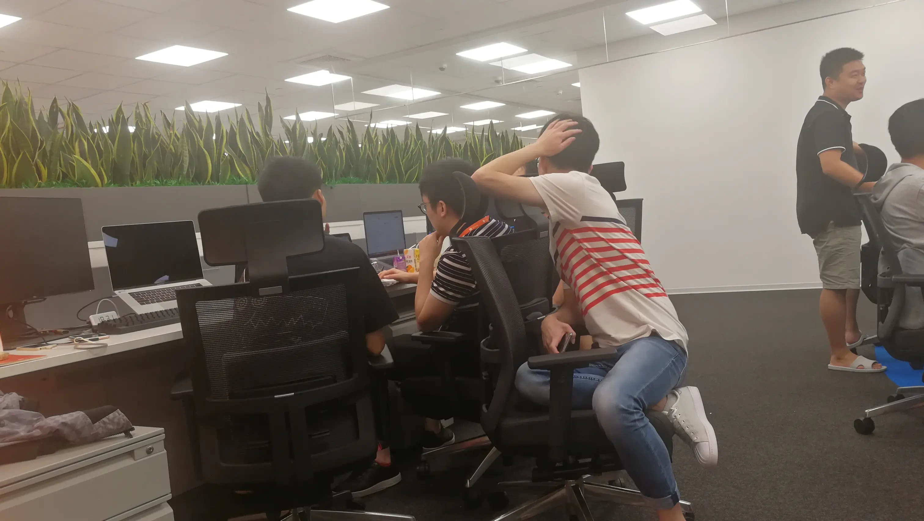 team member自发地在讨论问题