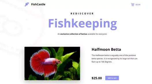 示例项目下一步