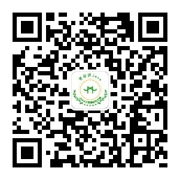 老梁讲Java 老梁讲Java