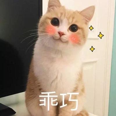 peaceminusone87550于2019-10-29 14:41发布的图片