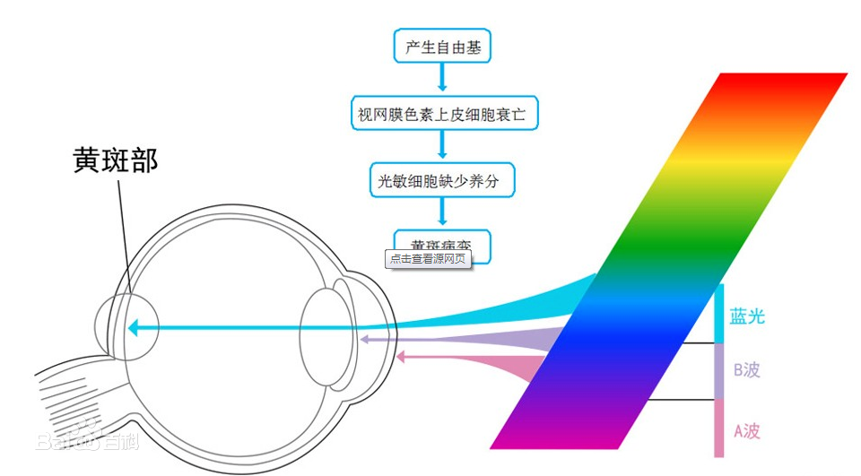 image-20191029173941239